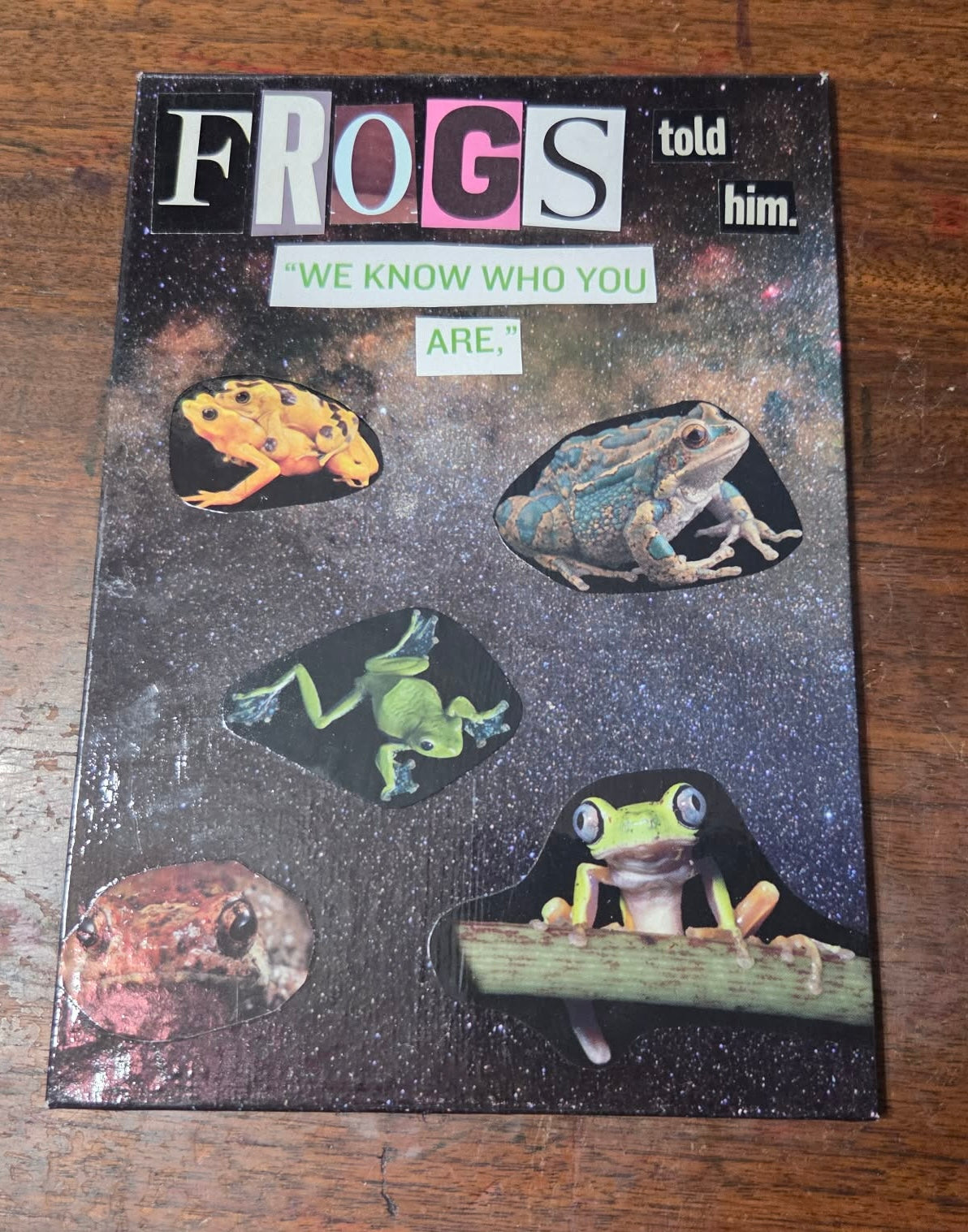 Frog art