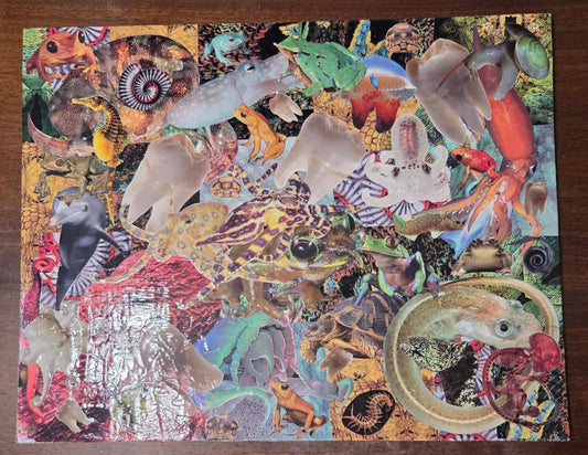 Random collage