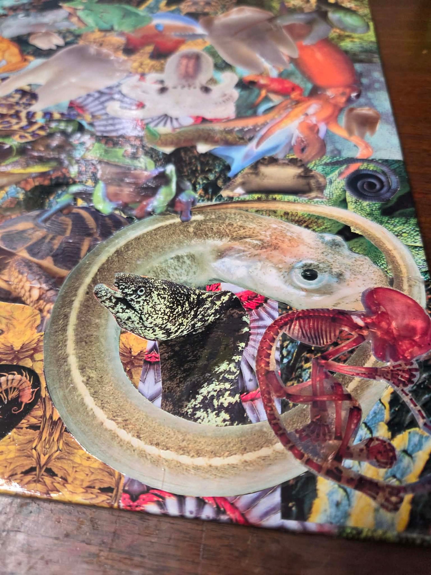 Random collage