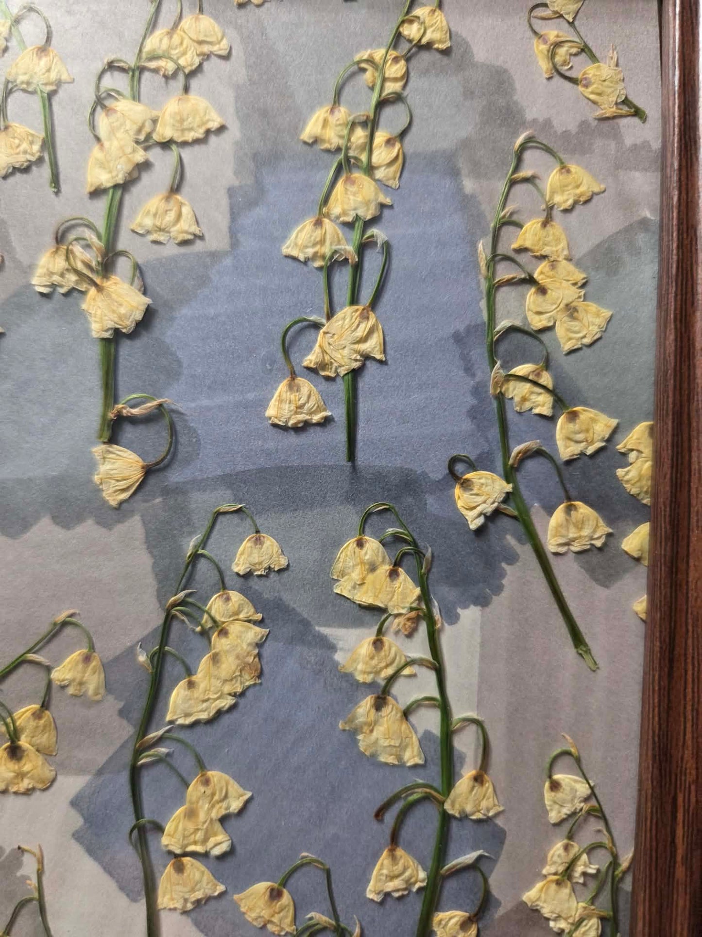 Framed Lilly of the valley