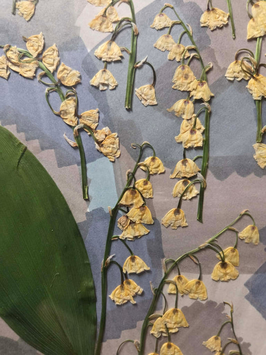 Framed Lilly of the valley